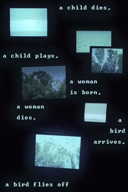 A child dies, a child plays, a woman is born, a woman dies, a bird arrives, a bird flies off movie poster