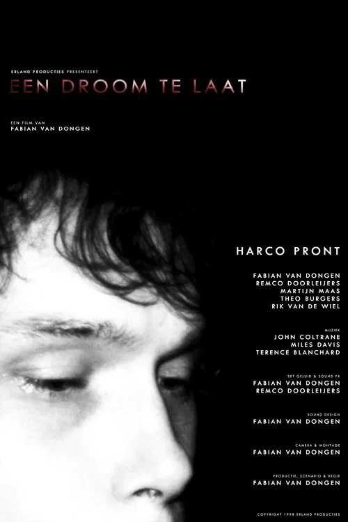 Een Droom Te Laat movie poster