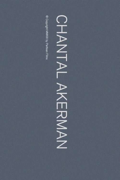 Chantal Akerman movie poster