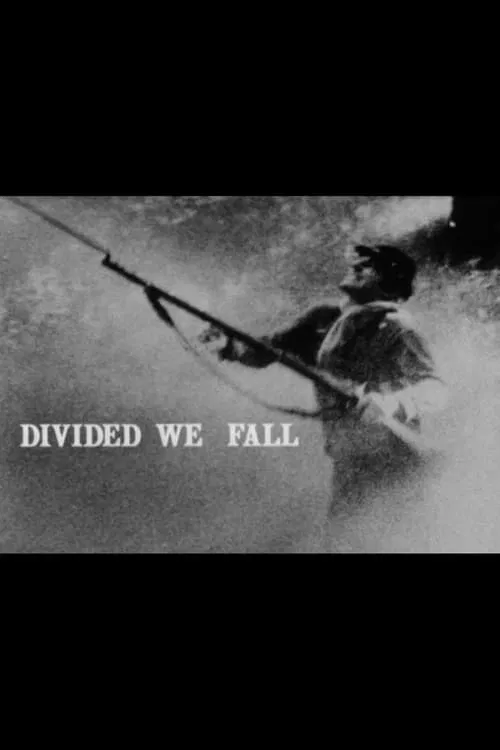 Divided We Fall movie poster