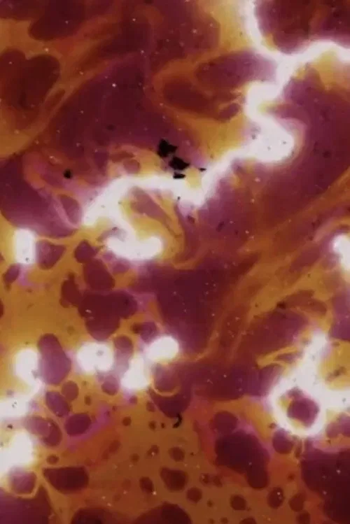 TRiplete PLástico movie poster