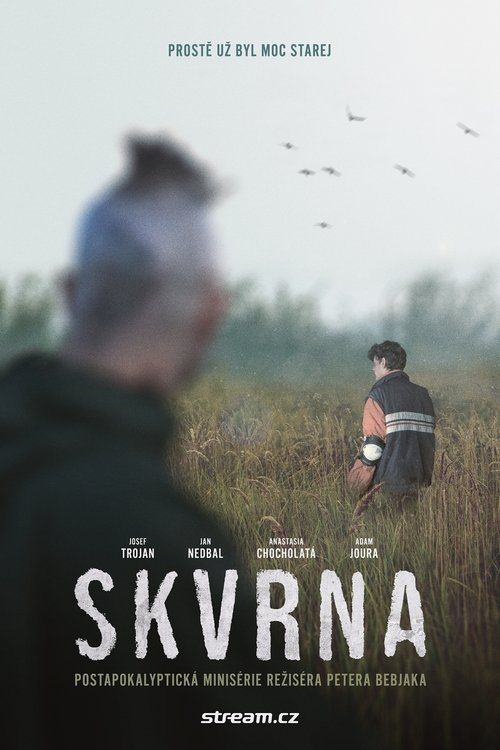 Poster da série Skvrna