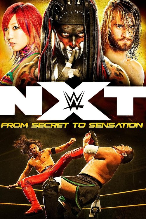 NXT: From Secret To Sensation movie poster