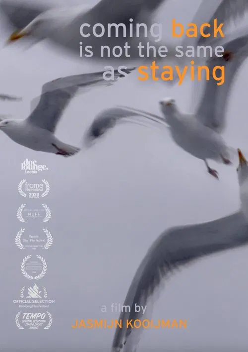 Coming back is not the same as staying movie poster