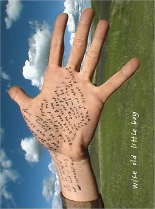 Wise Old Little Boy movie poster