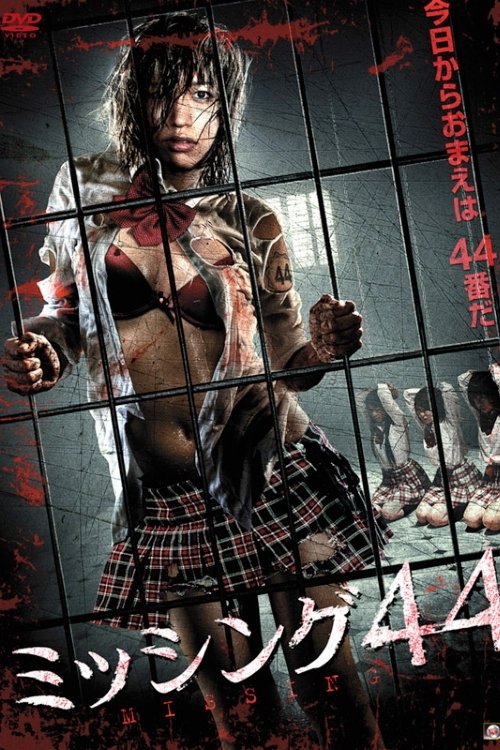 Missing 44 movie poster