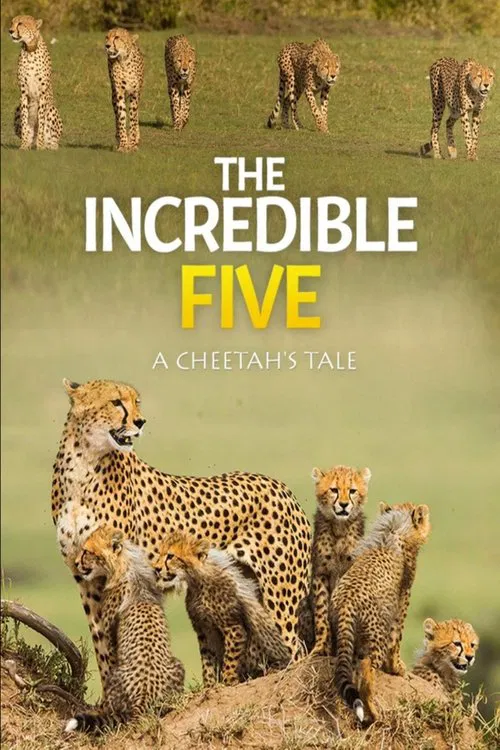 The Incredible Five: A Cheetah's Tale movie poster