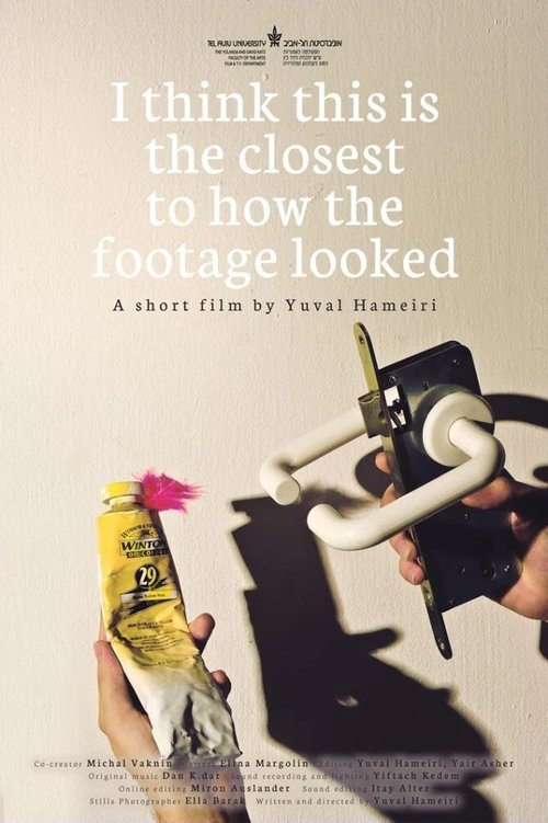I Think This Is the Closest to How the Footage Looked movie poster