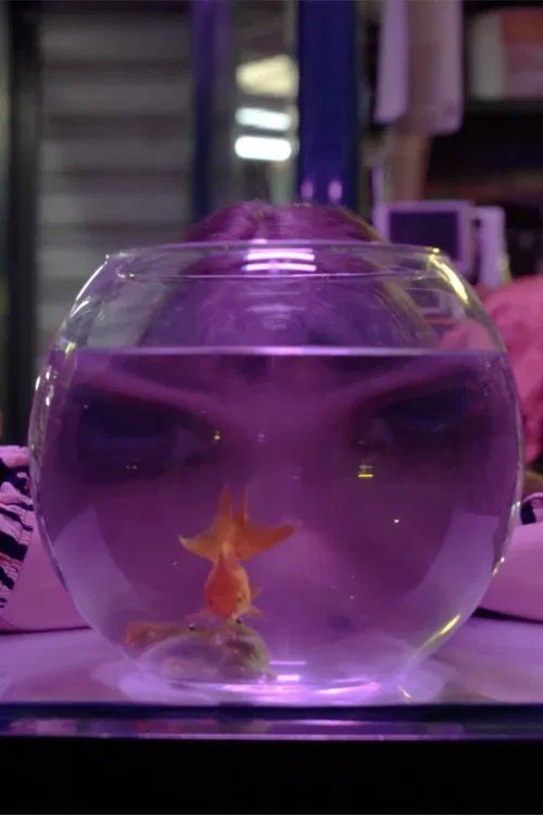 Poster do filme Baby Moon Park