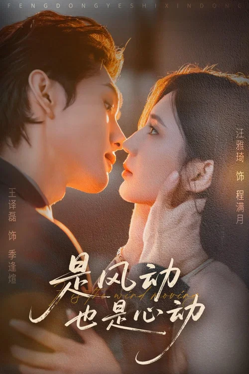 是风动也是心动 tv show poster