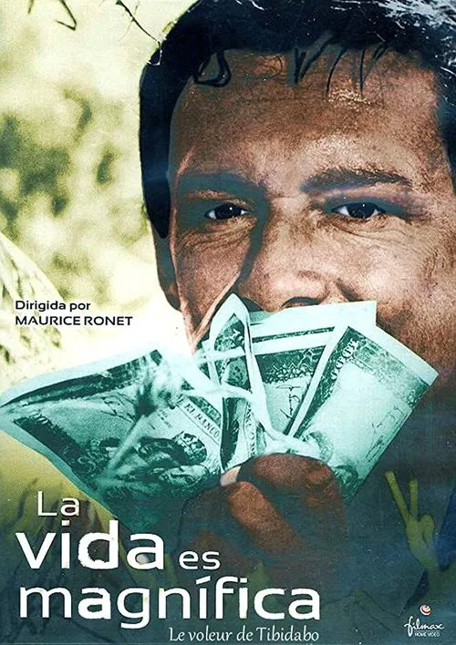 Poster do filme The Thief of Tibadabo
