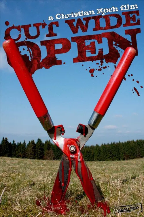Poster do filme Cut Wide Open