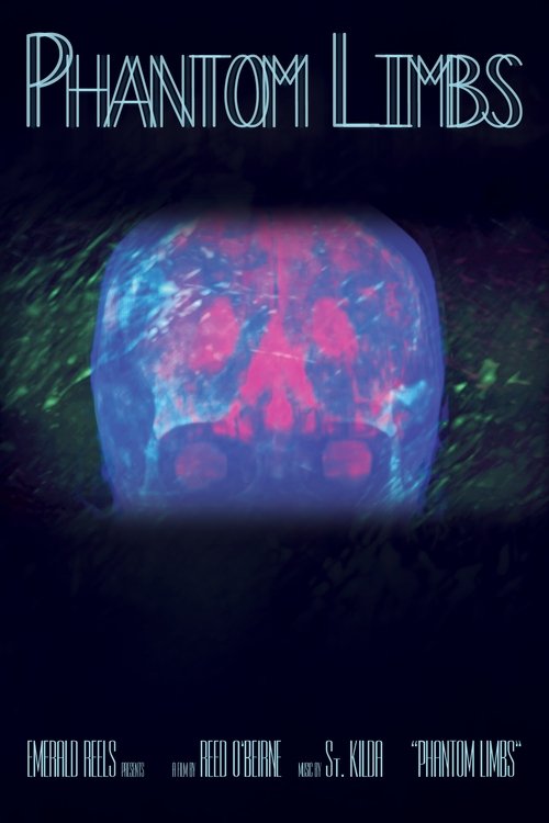 Phantom Limbs movie poster