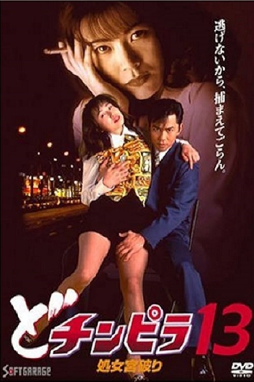 Dochinpira 13: Virgin Palace Breaking movie poster