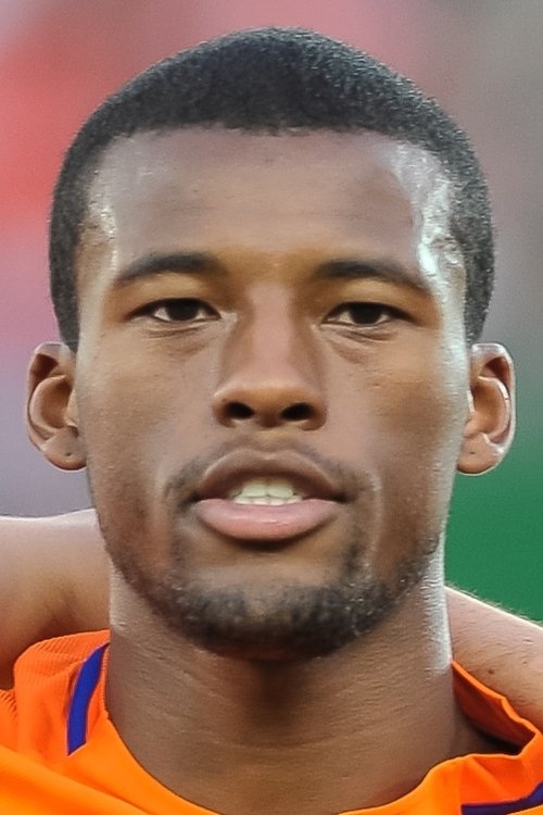 Georginio Wijnaldum profile picture