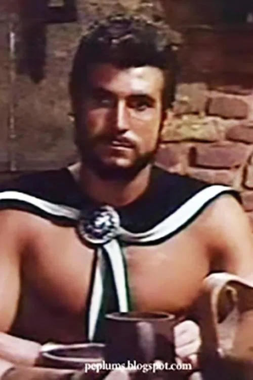 Armando Bottin profile picture