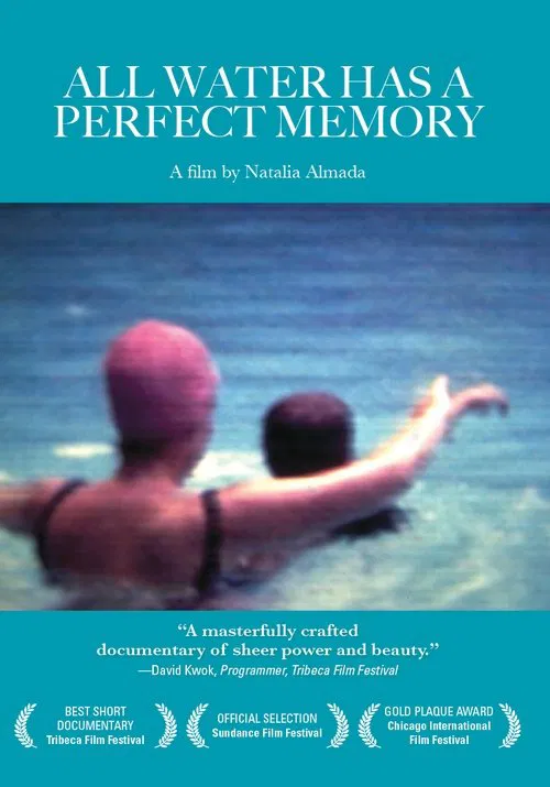 Poster do filme All Water Has a Perfect Memory