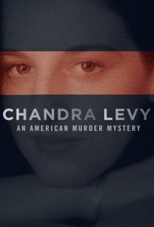 Chandra Levy: An American Murder Mystery tv show poster
