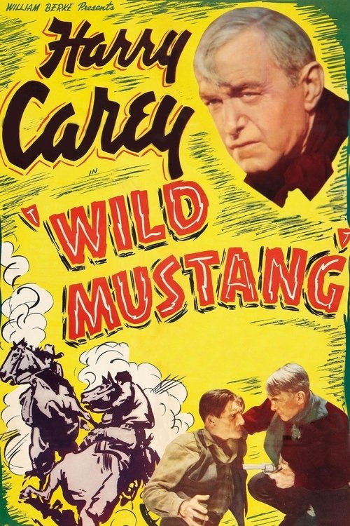 Wild Mustang movie poster