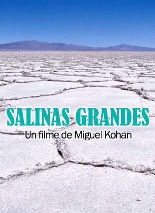 Poster do filme Salinas grandes