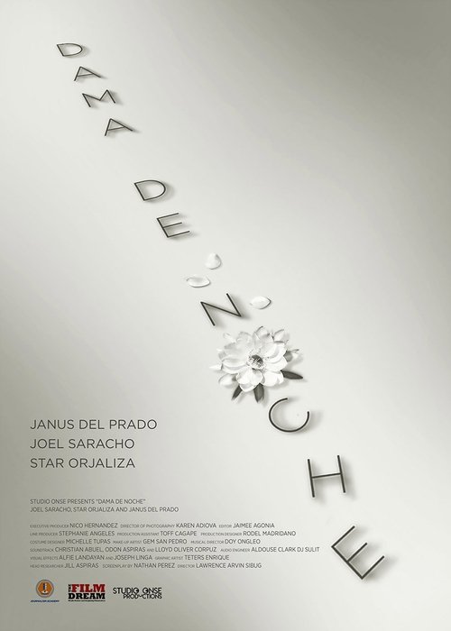 Dama de Noche movie poster