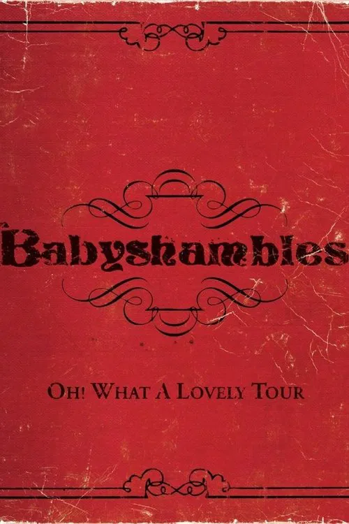 Oh! What a Lovely Tour - Babyshambles Live movie poster