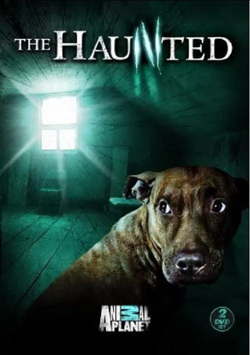 The Haunted tv show poster