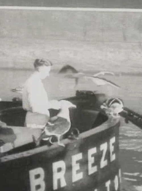 The Coaster movie poster