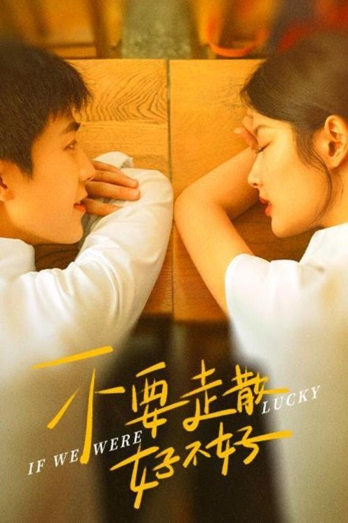 If We Were Lucky movie poster