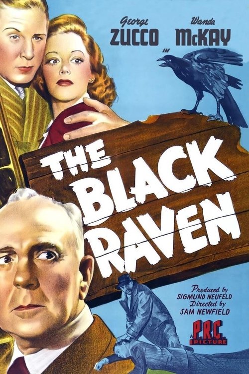 The Black Raven movie poster