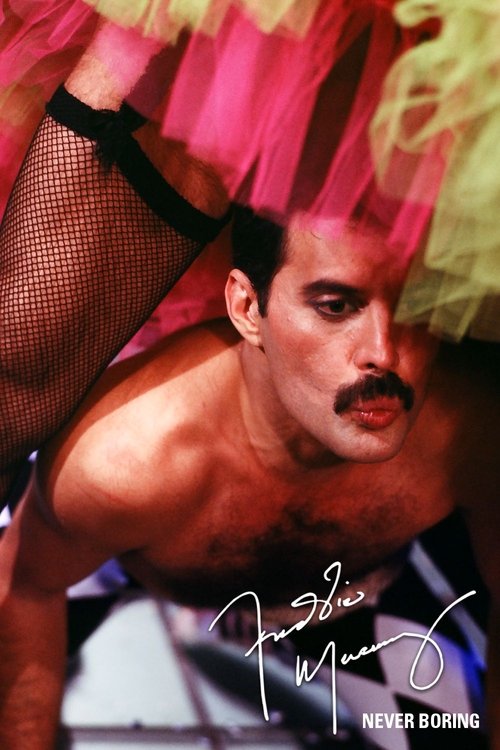 Never Boring - The videos movie poster