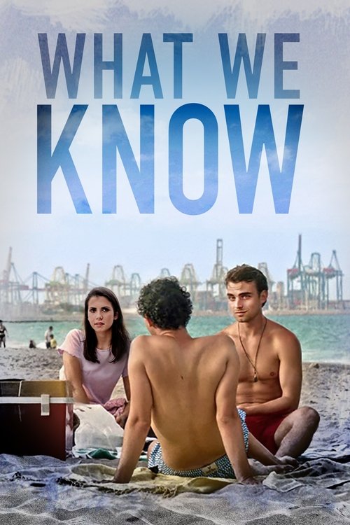 What We Know movie poster