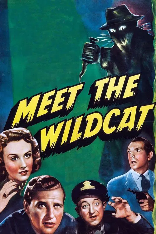 Poster do filme Meet the Wildcat