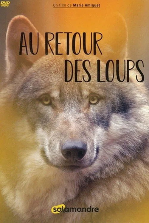Au retour des loups movie poster