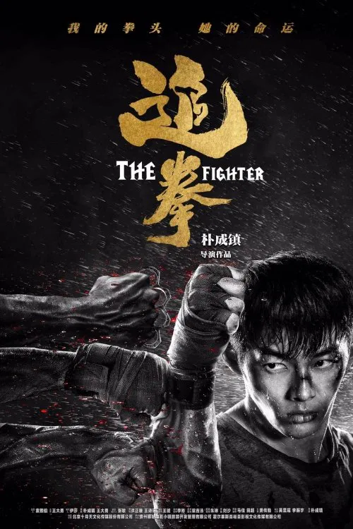 The Fighter movie poster