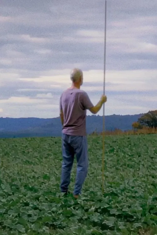 Poster do filme Spheres