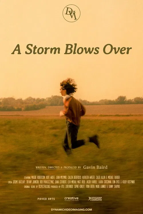 A Storm Blows Over movie poster