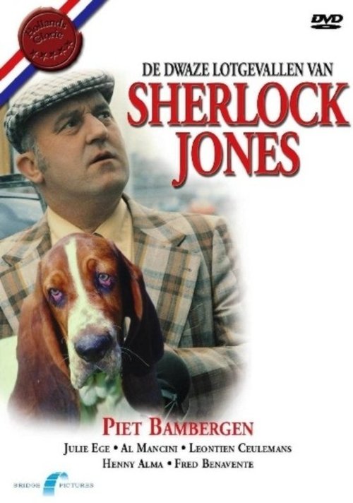 De dwaze lotgevallen van Sherlock Jones movie poster