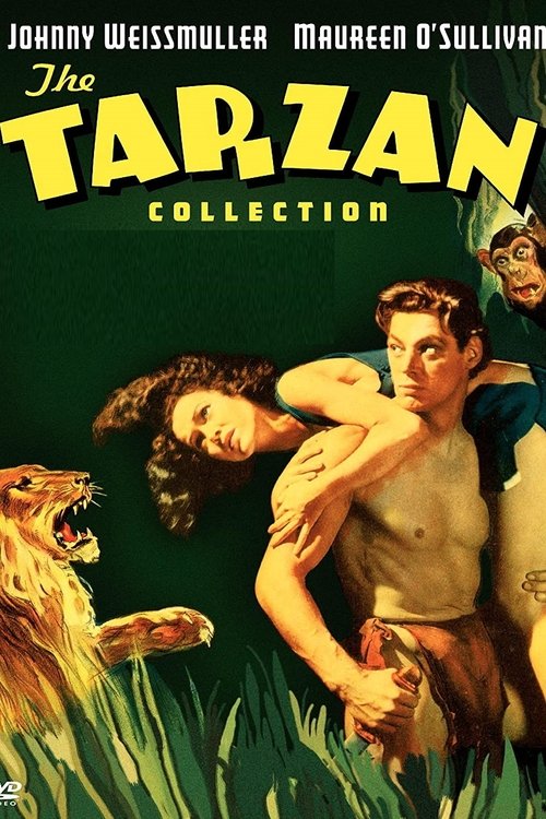 Tarzan: Silver Screen King of the Jungle movie poster