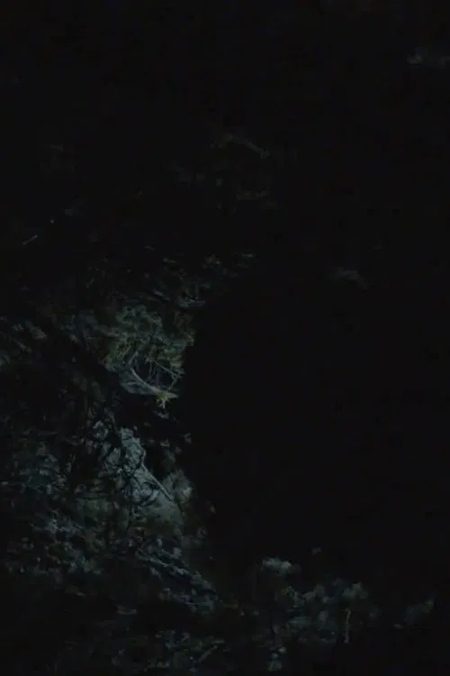 Poster do filme All the Planets in My Heart