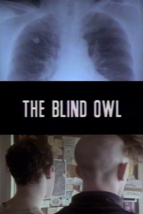 The Blind Owl movie poster