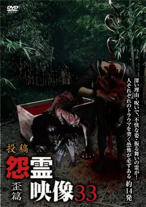 Posted Grudge Spirit Footage Vol.33: Distorted Edition movie poster