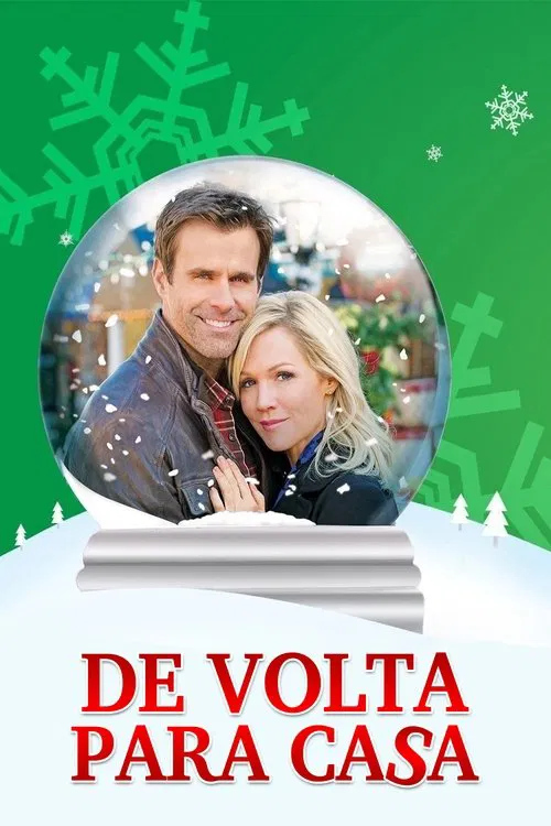 Poster do filme De Volta para Casa