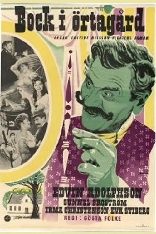 Poster do filme A Goat in the Garden