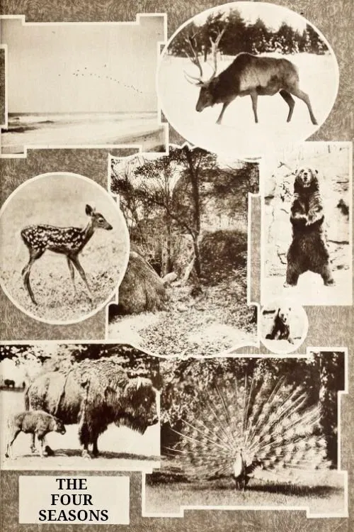 The Four Seasons movie poster