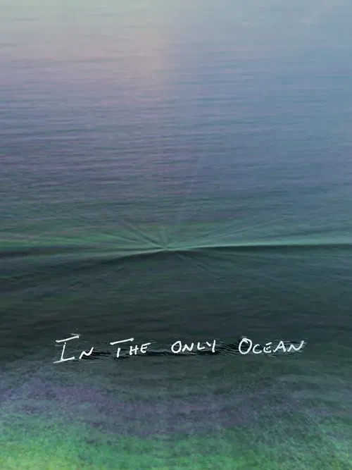 In The Only Ocean movie poster