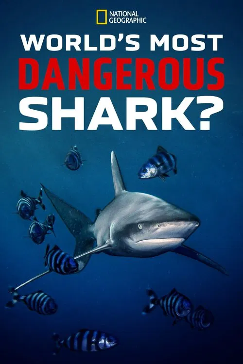 World's Most Dangerous Shark? movie poster