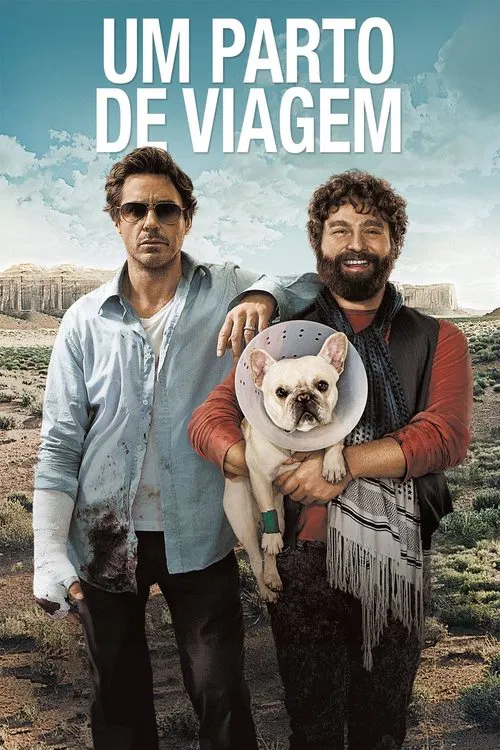 Poster do filme Um Parto de Viagem