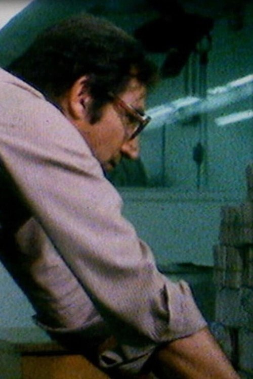 The Kirshenbaum Diaries movie poster