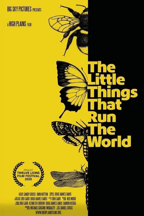The Little Things that Run the World movie poster